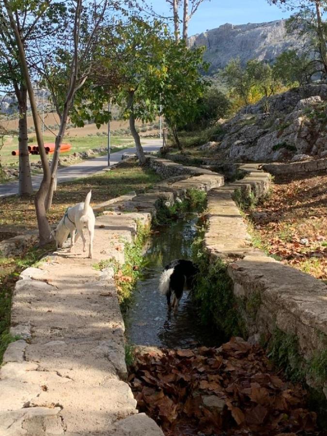 Villa Remedios Cuevas del Becerro Eksteriør billede