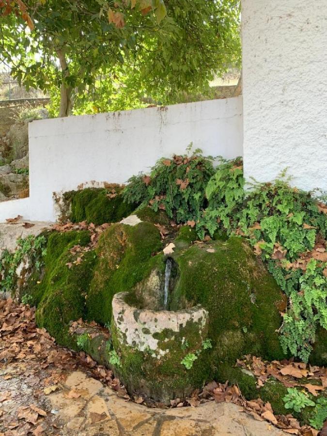 Villa Remedios Cuevas del Becerro Eksteriør billede